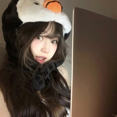 黑客军团第一季